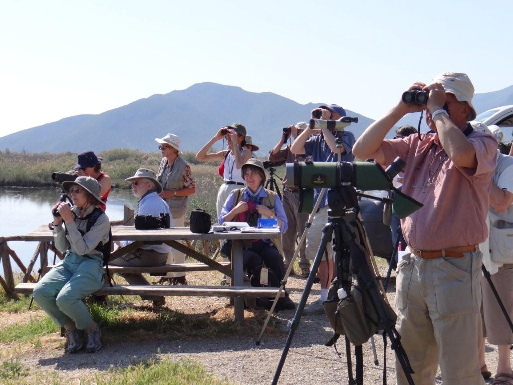 honeyguide.JPG