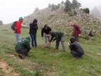 15.5.2014 Ergasia pediou