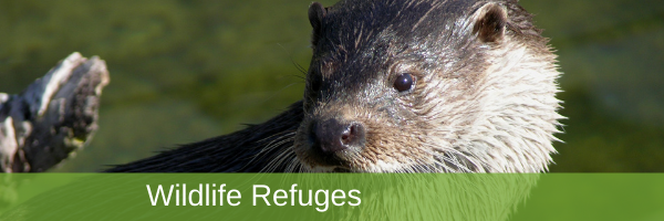 EN homepage – Slide1 – Wildlife Refuges