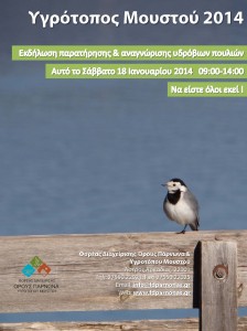 Every bird counts_poster