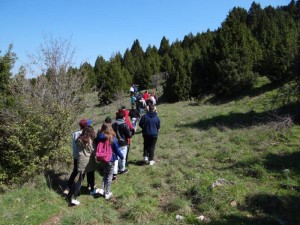 Γυμνάσιο Άστρους κ Ισπανοί  (4)