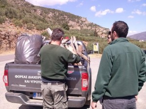 7.5.14_Clean up  in Moustos