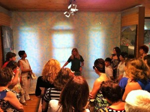 Zaxaroplastes-160614
