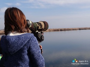 Παγκόσμια Ημέρα Υγροτόπων_Μουστός-Πάρνωνας_2016 (1)