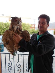 bubo_bubo_leonidio_2016