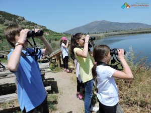 Gkoritsa-Skoura_Moustos (3)
