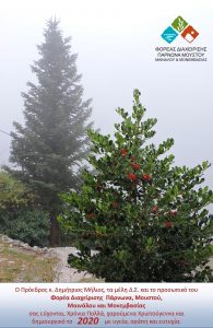 Χριστουγεννιάτικη κάρτα