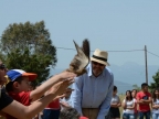 11.5.2015 Epanentaxi ornithopanidas