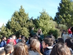 15.12.2014 30.6.2016 Xenagisi Malevi