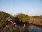 24.6.2014 Ergasia pediou