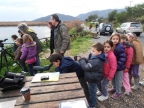 Dim_Kiver1