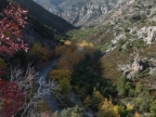 Faraggi Dafnwna