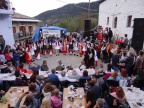 Giorti kastanou